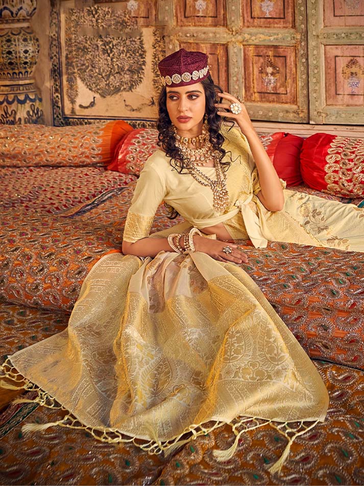 Annie chinon georgette saree
