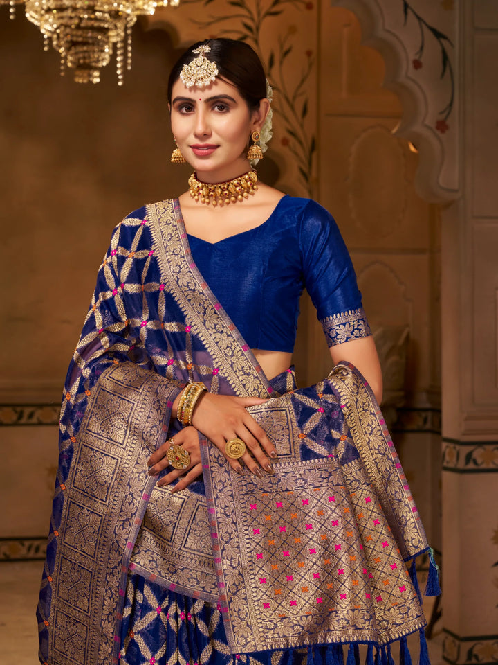 Varsha Blue Pure Organza Saree for Wedding