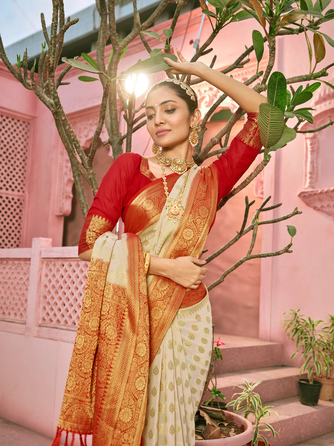 GANGA CHIKU VISCOSE SAREE