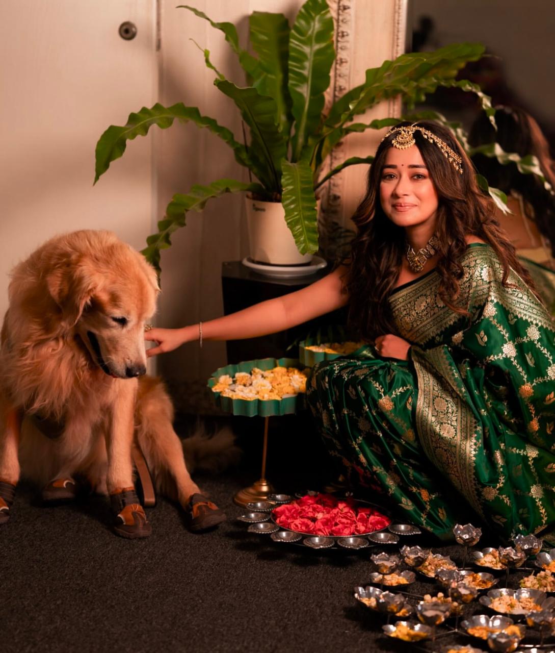 BANARASI KANJIVARAM SILK SAREE