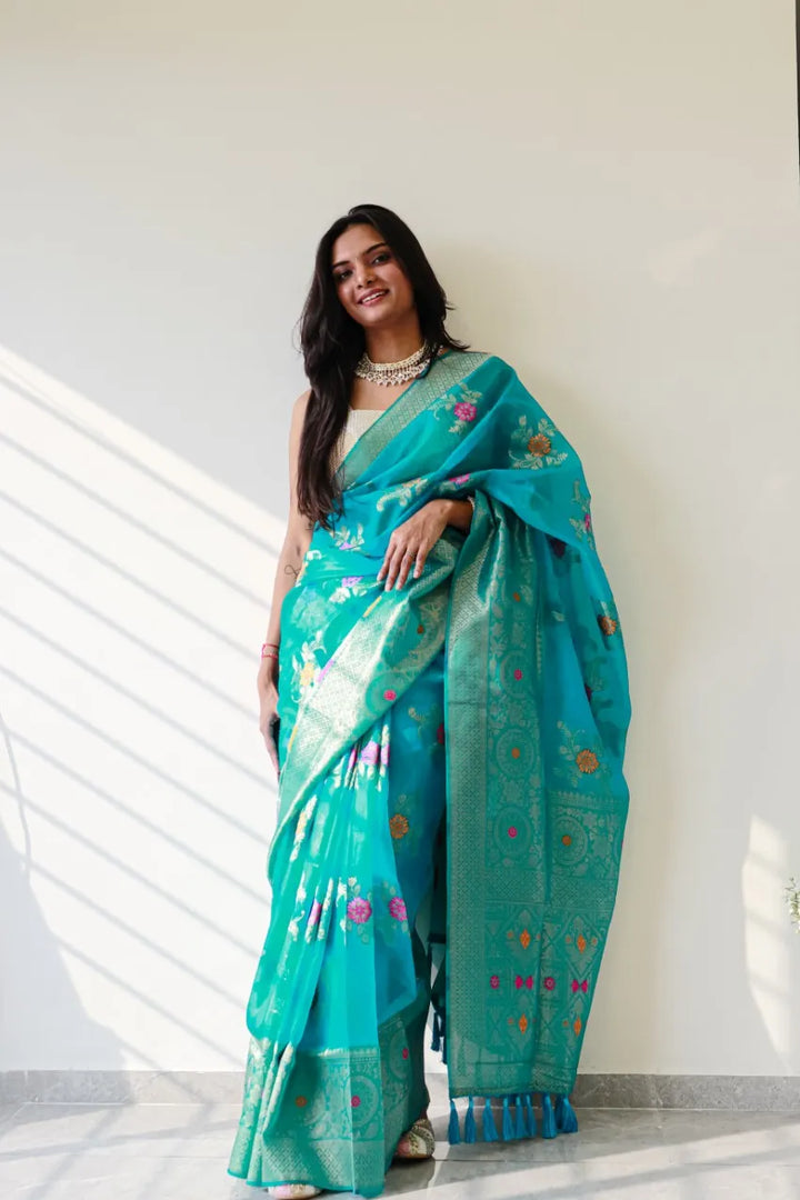 Saloni Firozi Meena Organza Saree