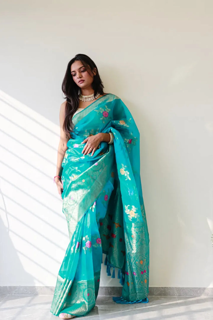 Saloni Firozi Meena Organza Saree