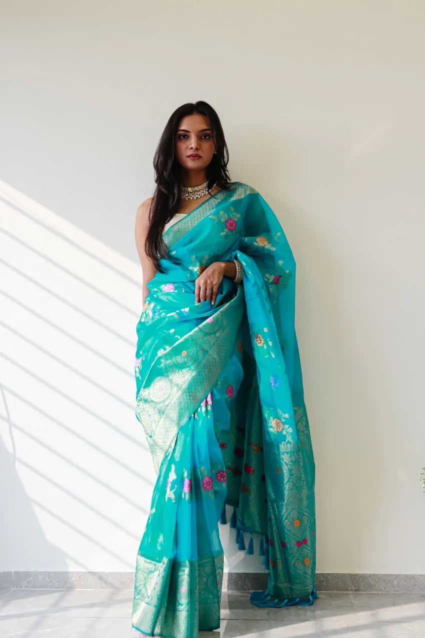 Saloni Firozi Meena Organza Saree