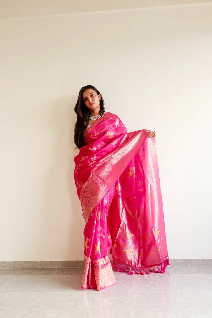 Saloni Pink Meena Organza Saree