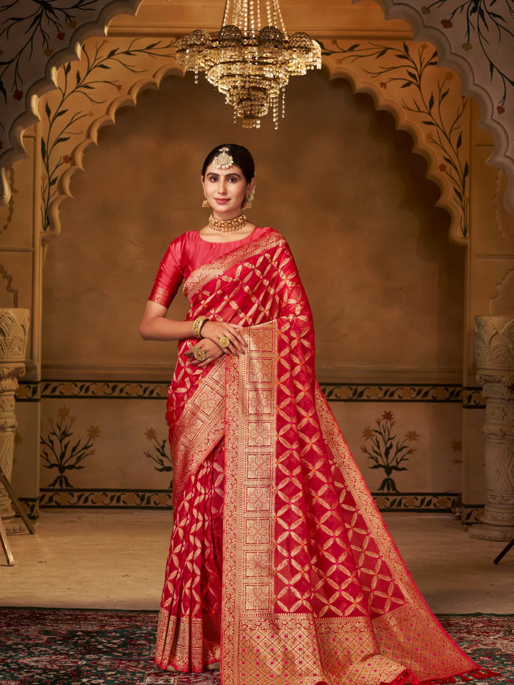 Varsha Red Pure Organza Saree for Wedding