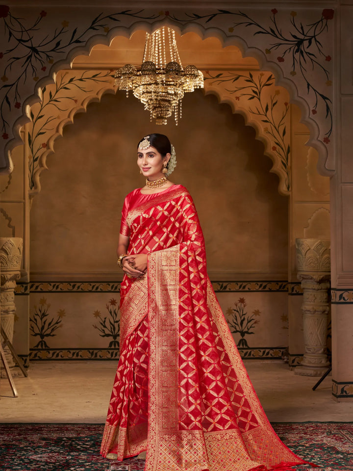 Varsha Red Pure Organza Saree for Wedding