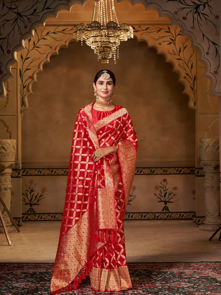 Varsha Red Pure Organza Saree for Wedding