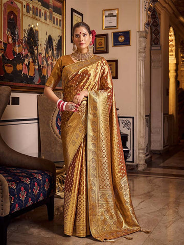 Kavykala Tissue Silk Saree