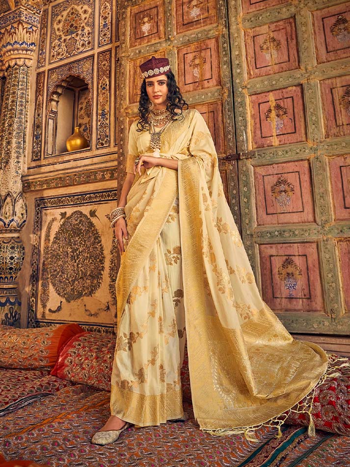 Annie chinon georgette saree
