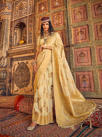 Annie chinon georgette saree