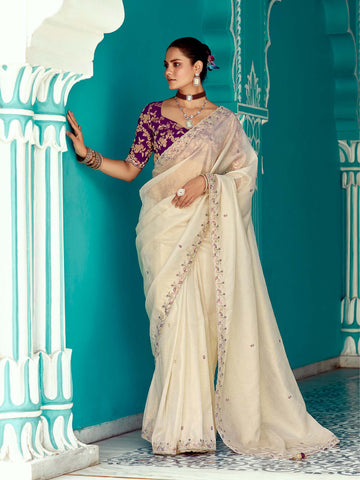 Amber Glass Tissue Saree