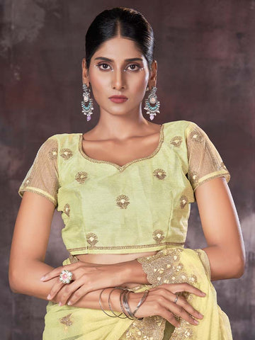 Jayshree Oraganza Net Saree