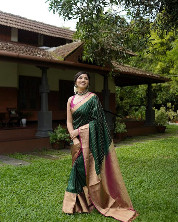 BANARASI SILK SAREE